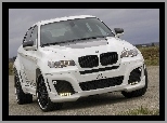 CFL, BMW X6, Ringi